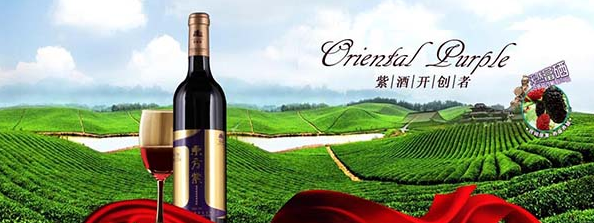 《对话中国品牌》栏目采编中心